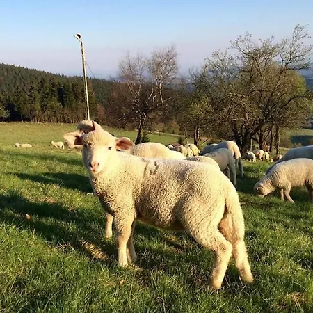 U Podnoza Gor Sowich Pieszyce